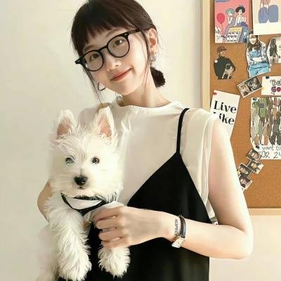 神奇动物在哪里